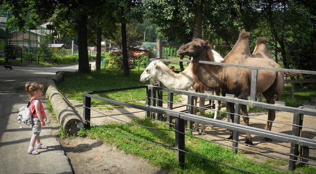 зоопарк рівне 