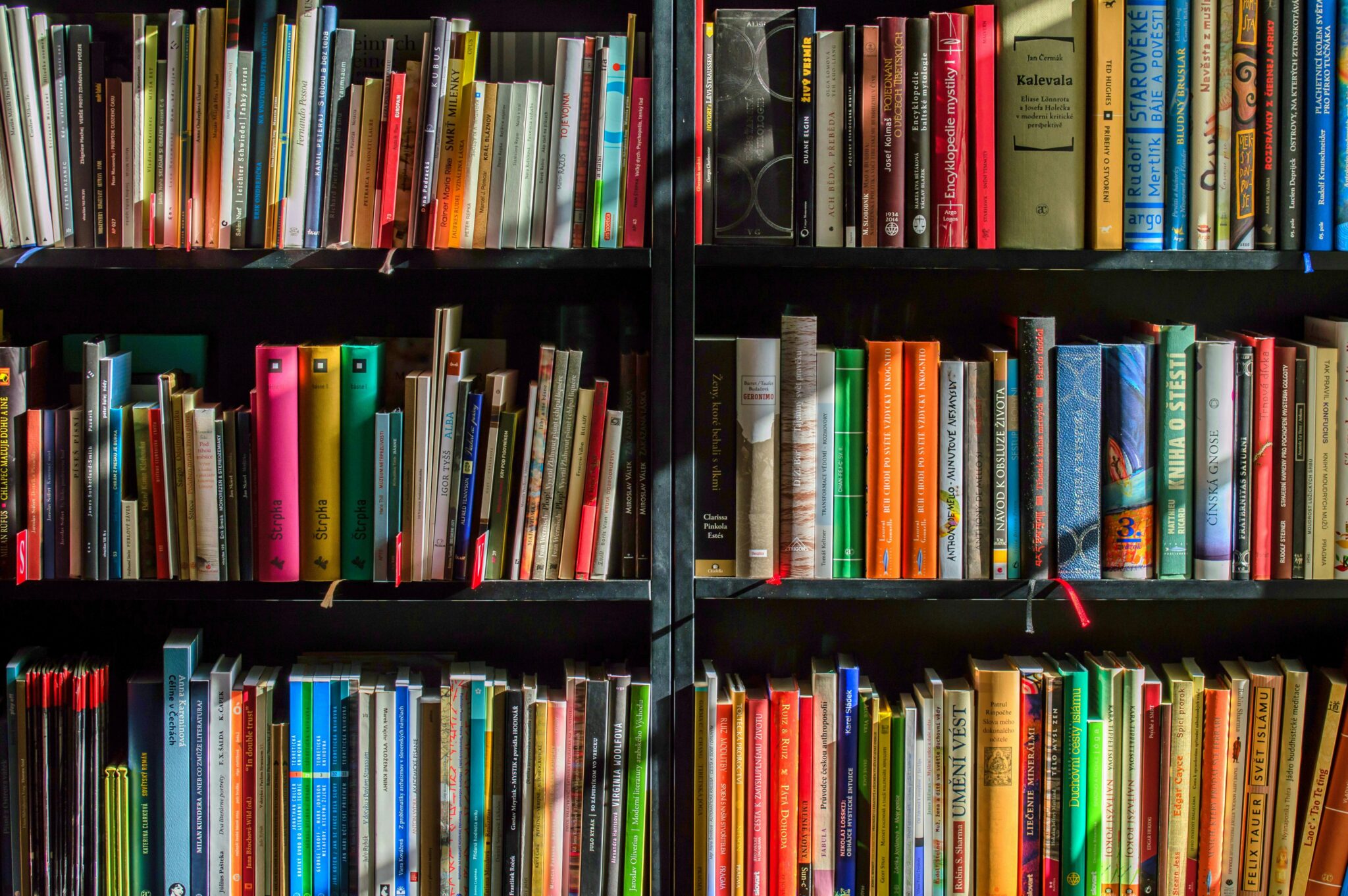 Полки с книгами в уютной библиотеке